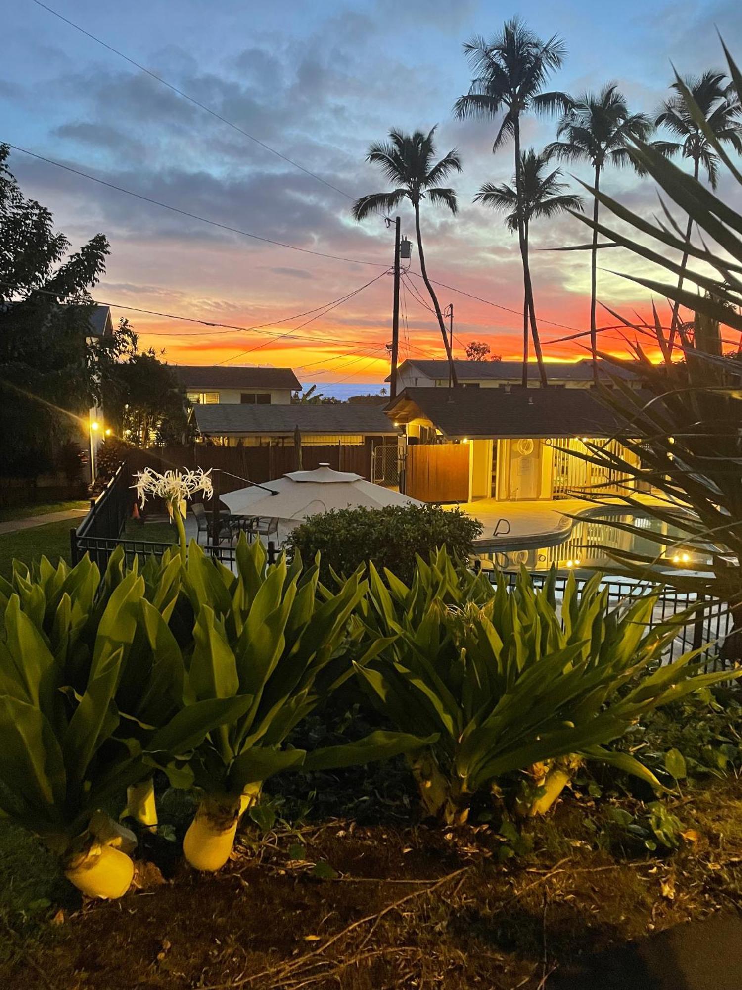Your Slice Of Paradise In Kona - Walk To And Stores Apartment